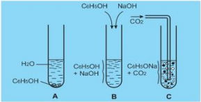 dãy gồm các chất đều phản ứng với phenol là