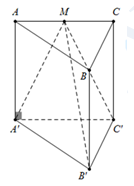Đề: Cho hình lăng trụ đứng (ABC.A'B'C') có đáy là tam giác vuông tại A. Biết rằng (AB = {rm{AA'}} = a;,,AC = 2{rm{a}}.) Gọi M là trung điểm của AC. Bán kính của mặt cầu ngoại tiếp tứ diện (M.A'B'C') là: 1