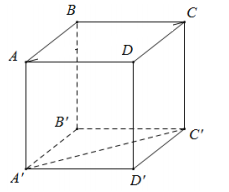 Đề: Cho hình lập phương ABCD.A’B’C’D’ có cạnh b. Tính diện tích xung quanh S của hình nón tròn xoay được sinh ra bởi đường gấp khúc AC’A’ quay xung quang trục AA’. 1