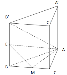 Đề: Cho lăng trụ đứng ABC.A'B'C' có ABC là tam giác vuông, AB = BC = 1; AA' = (sqrt{2}.) M là trung điểm của BC. Tính khoảng cách giữa hai đường thẳng AM; B'C?  1