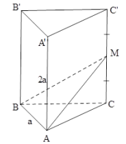 Đề: Cho hình lăng trụ tam giác đều ABC.A’B’C’ có AB=a, AA’=2a. Lấy M là trung điểm của CC’. Tính ({V_{MABC}}.) 1
